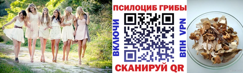Псилоцибиновые грибы GOLDEN TEACHER Тутаев
